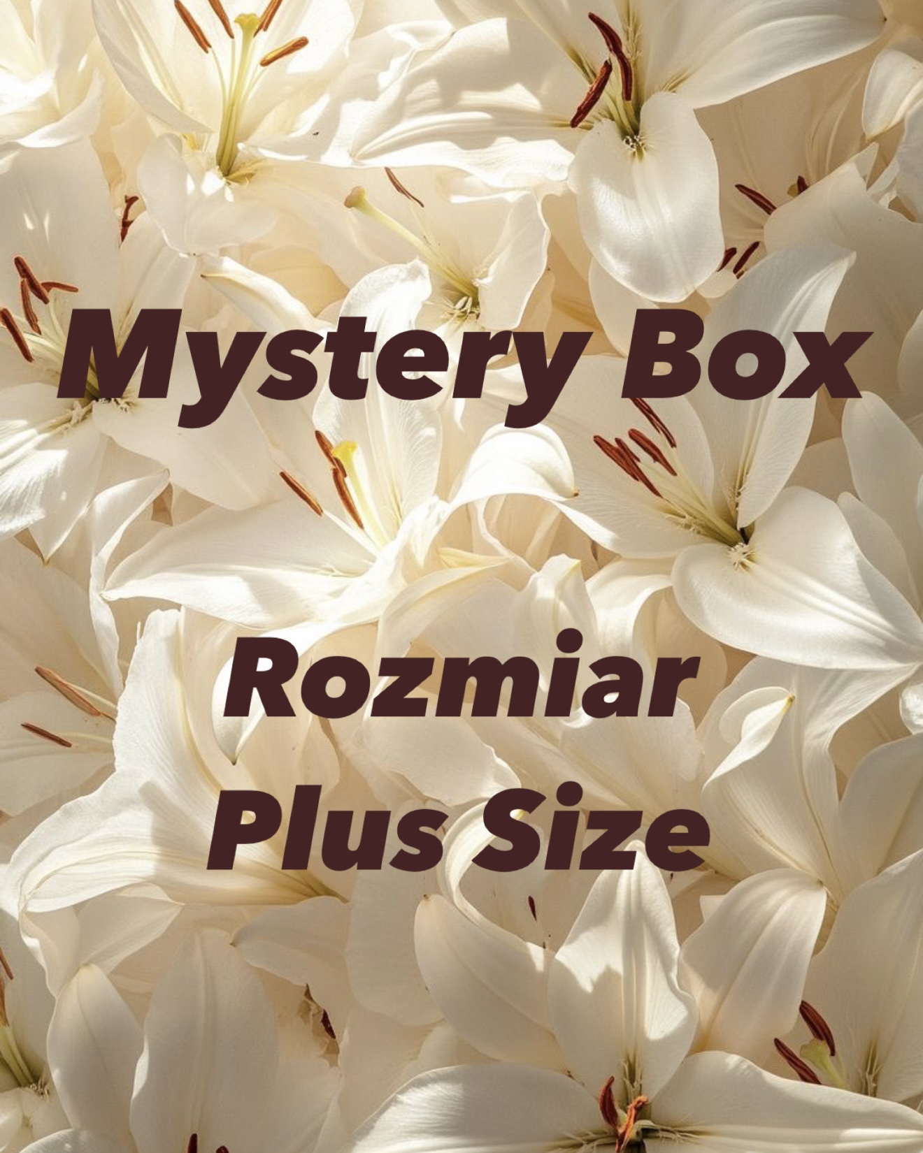 Mystery Box Plus Size