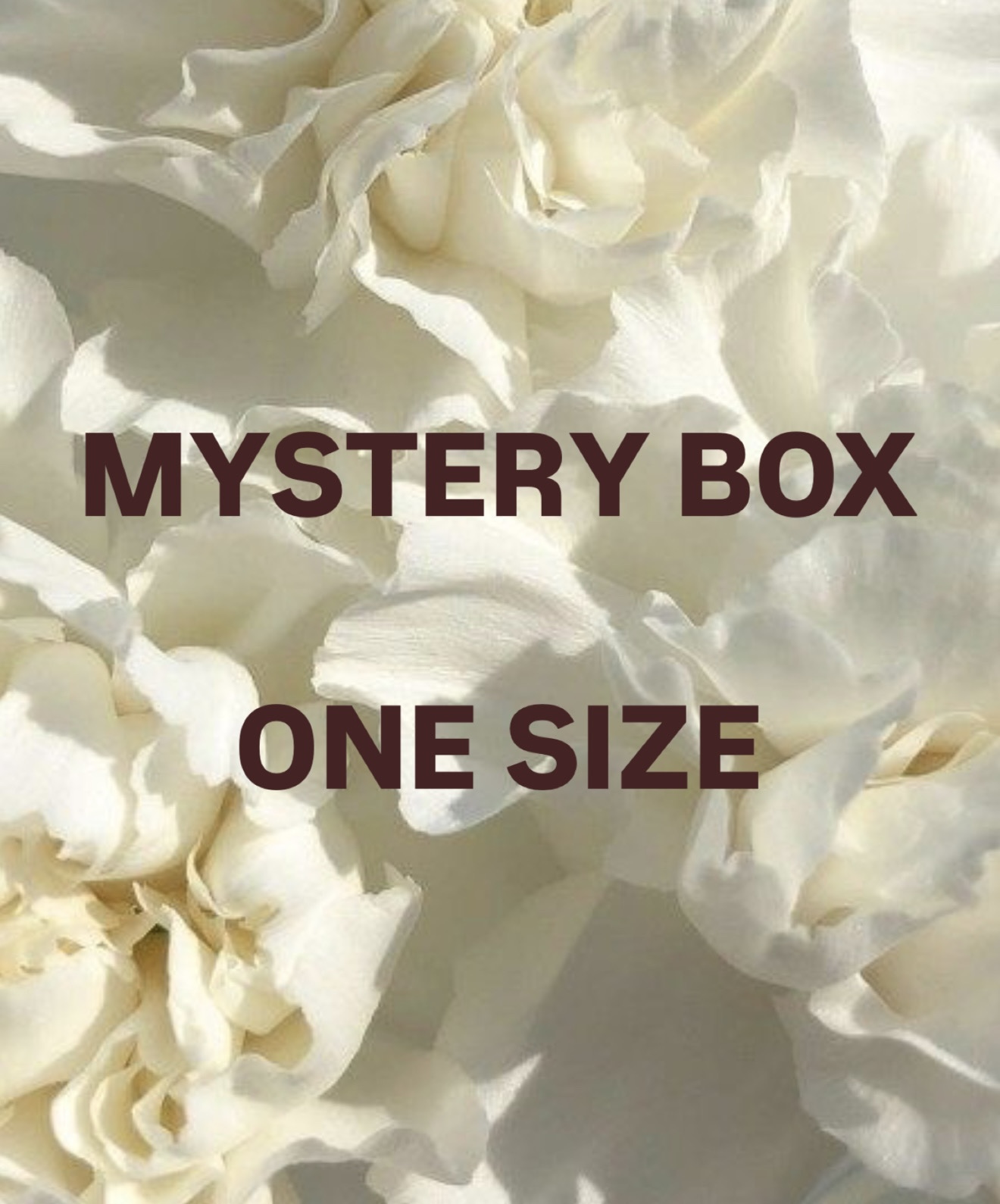 Mystery Box ONE SIZE XS-M